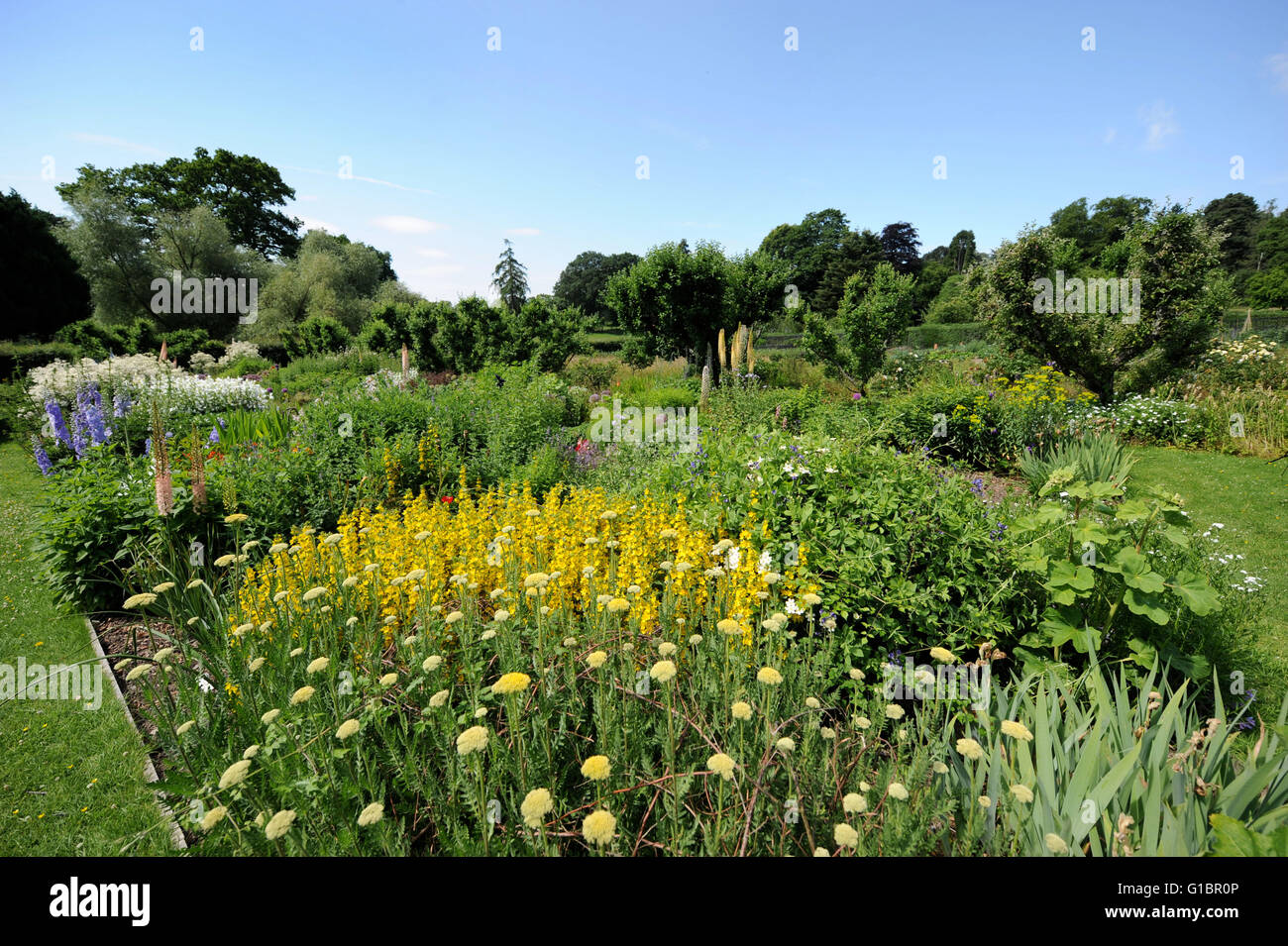 Herbaceous borders in an English country garden, UK Stock Photo