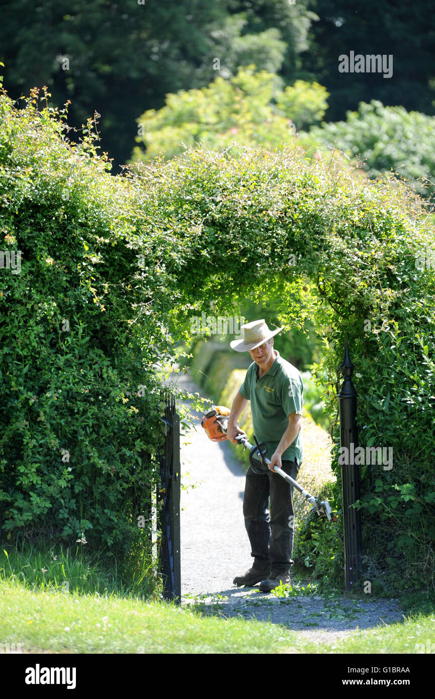 Box border hedges path hires stock photography and images Alamy