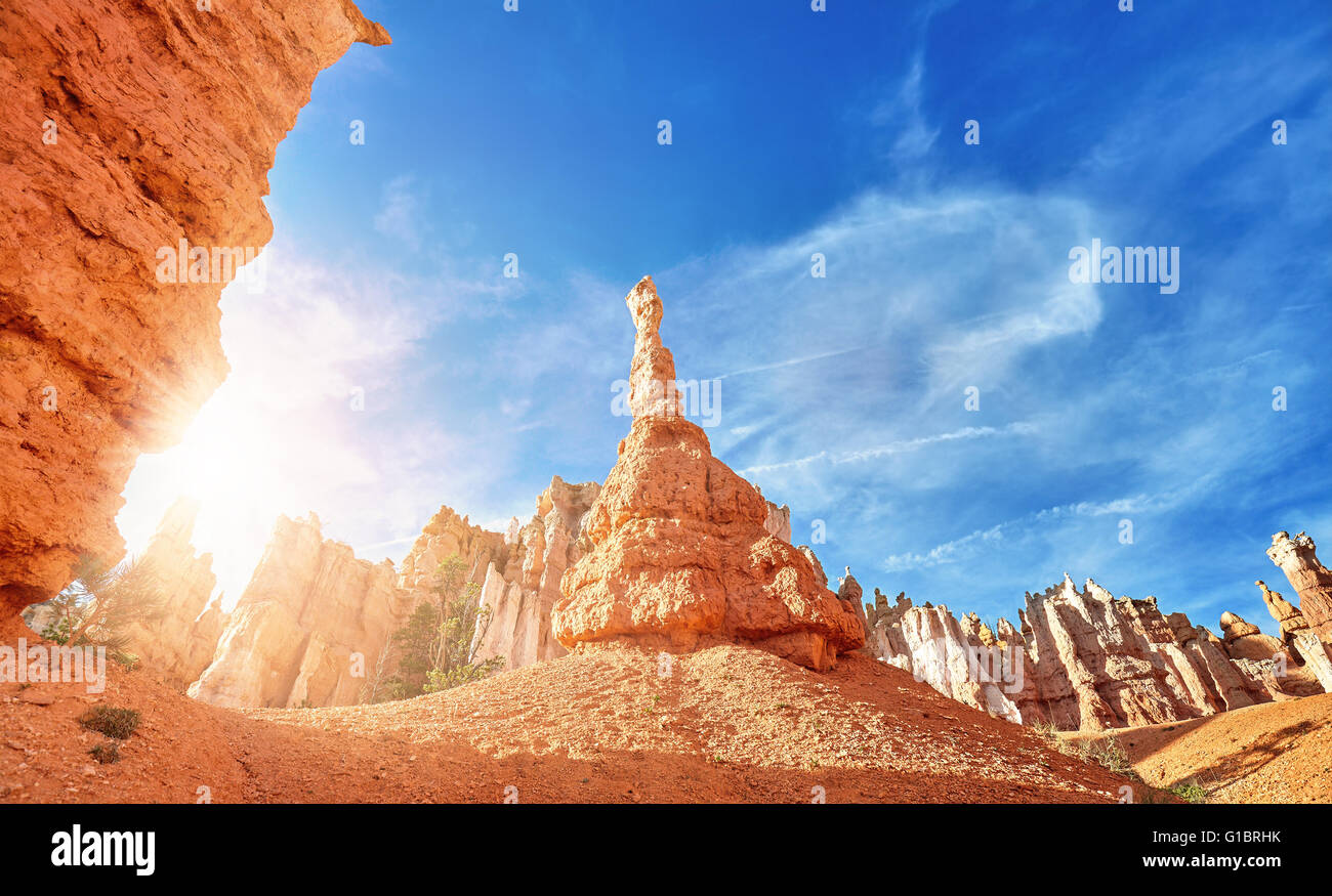 Sunset over hoodoos in Bryce Canyon National Park, USA. Stock Photo