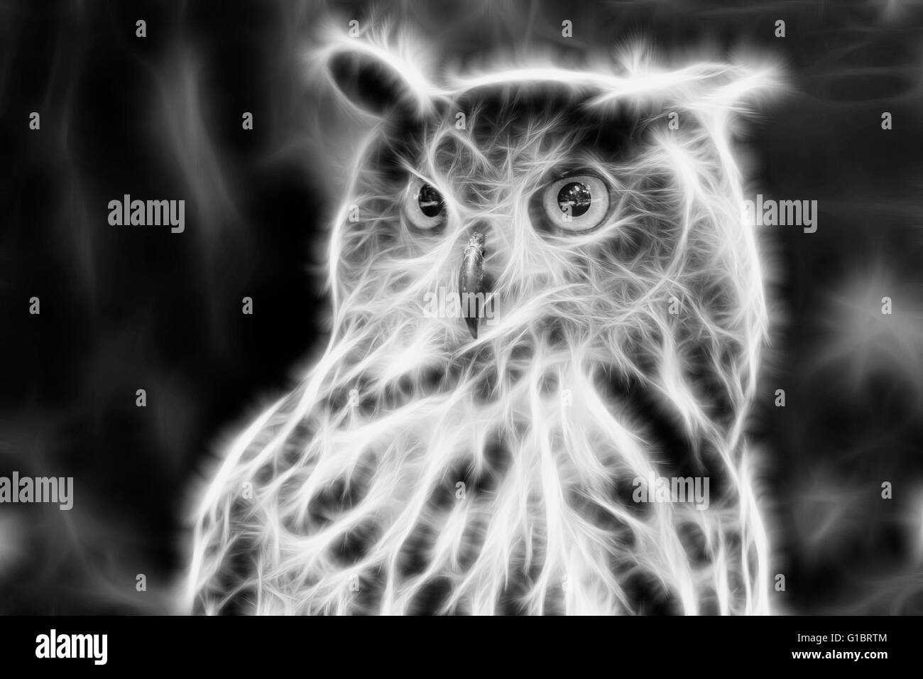 Eagle Owl/An eagle owl portrait, fractal Stock Photo