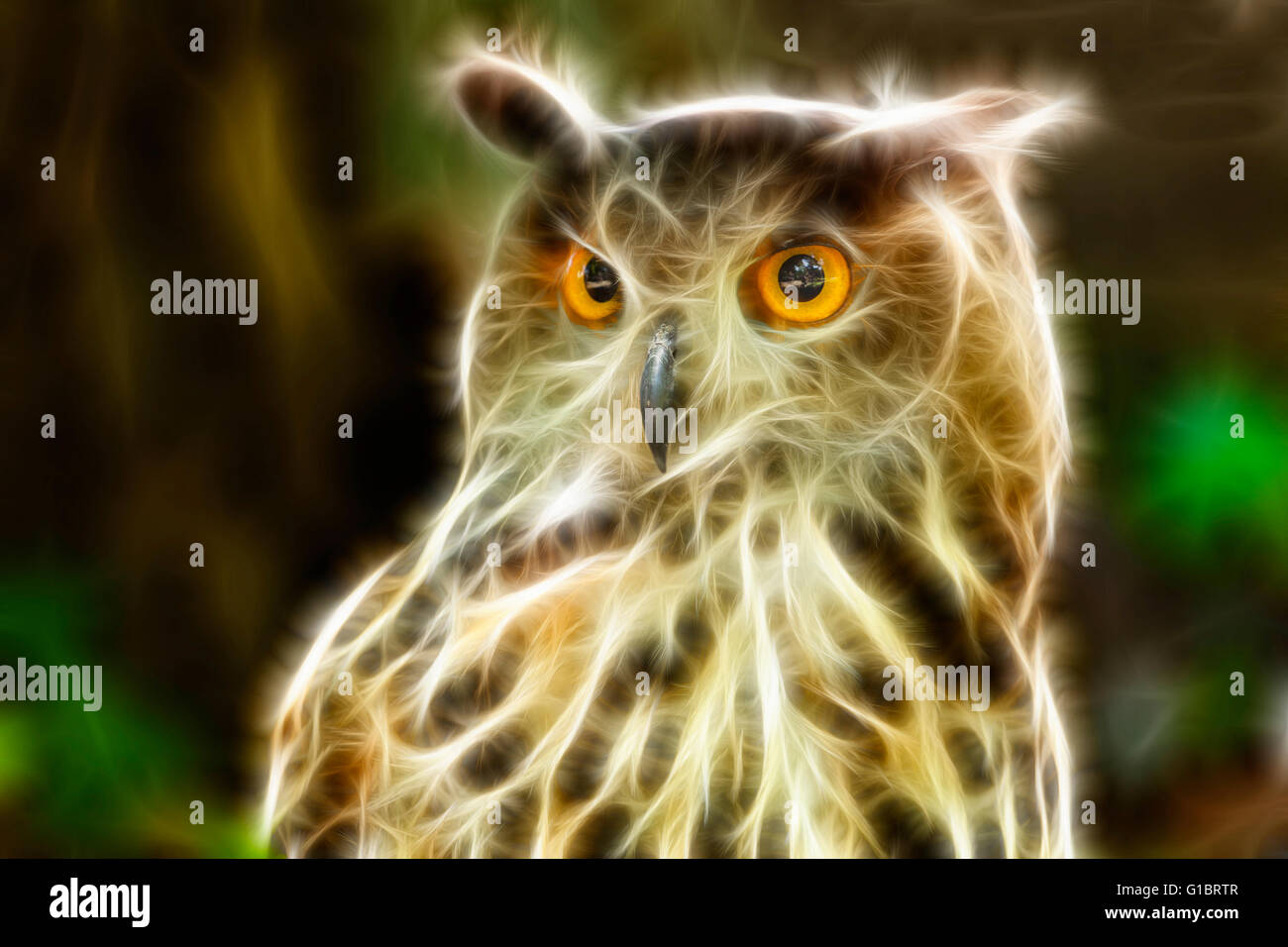 Eagle Owl/An eagle owl portrait, fractal Stock Photo