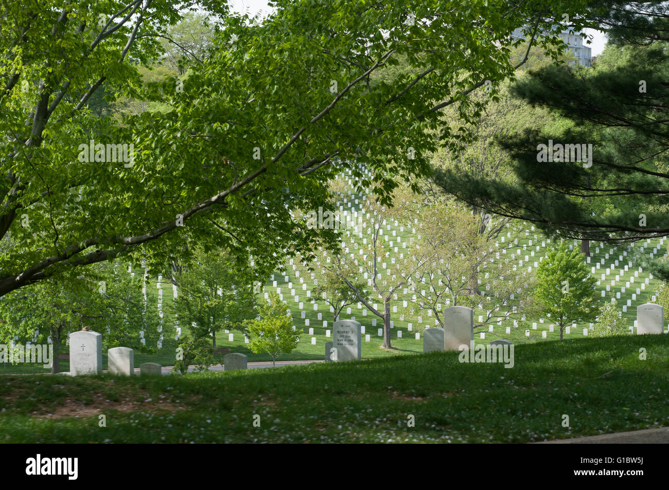 A view of some of the graves at Arlington National Cemetery Stock Photo