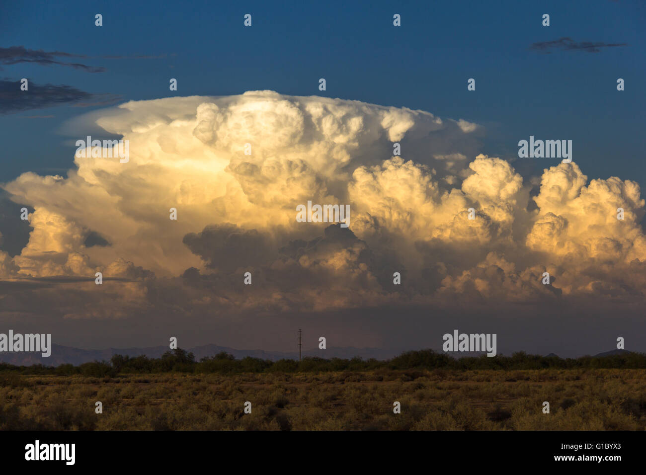 Towering Cumulonimbus clouds from a building thunderstorm near Phoenix, Arizona, USA Stock Photo