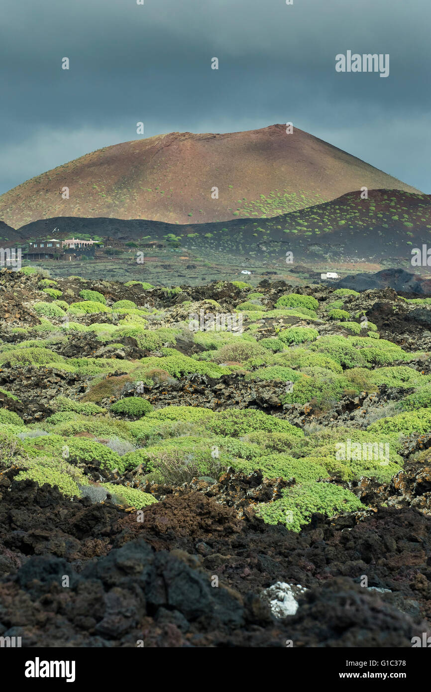 Volcanos National Park, Lanzarote, Canary Islands, Spain Stock Photo