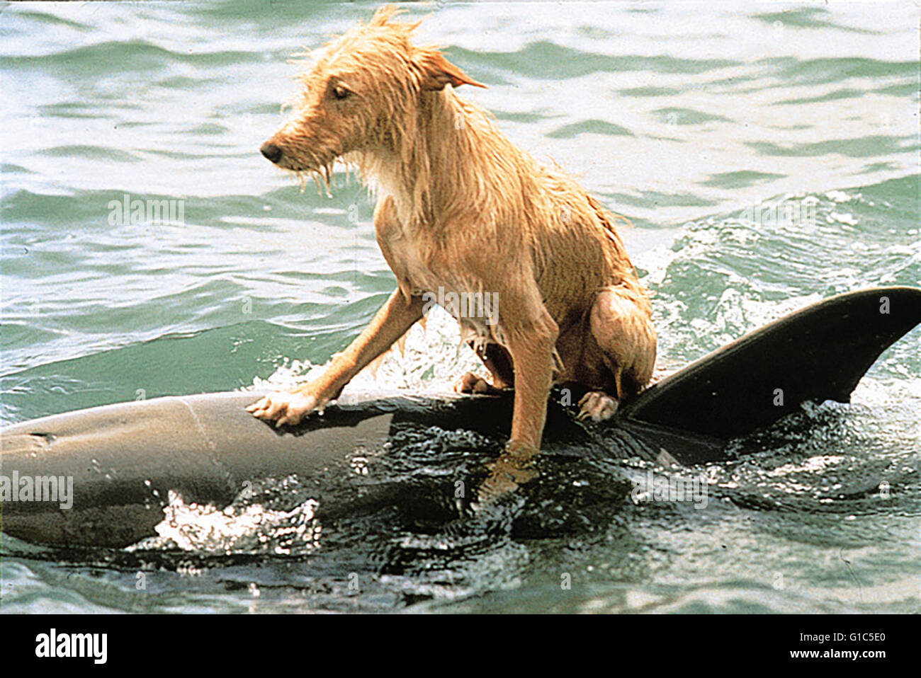 zeus et roxanne zeus et roxanne