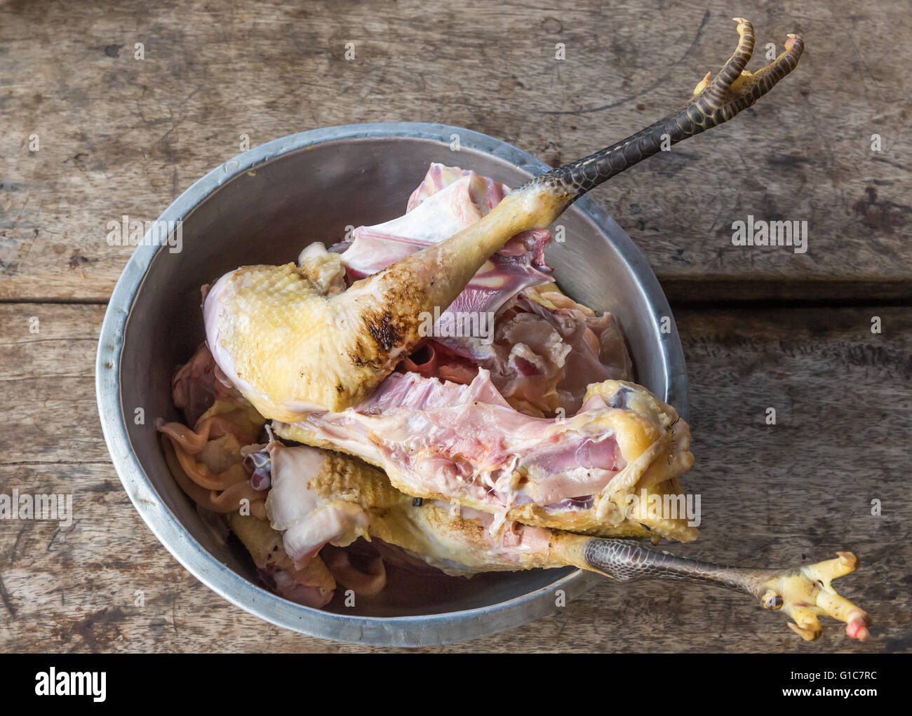 Chicken slaughtering in the metal bowl for ready to cooking. Stock Photo