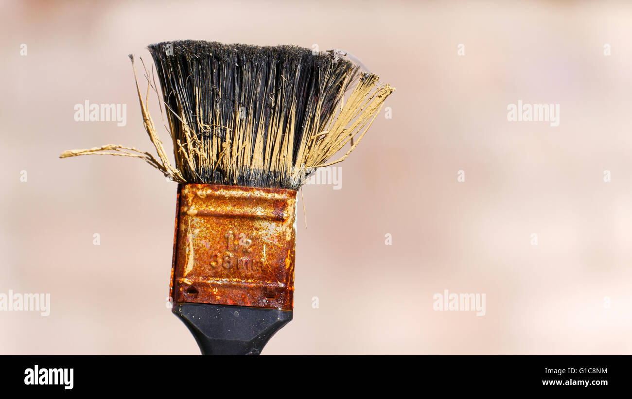 Old Dried Up Paintbrush Stock Photo Alamy