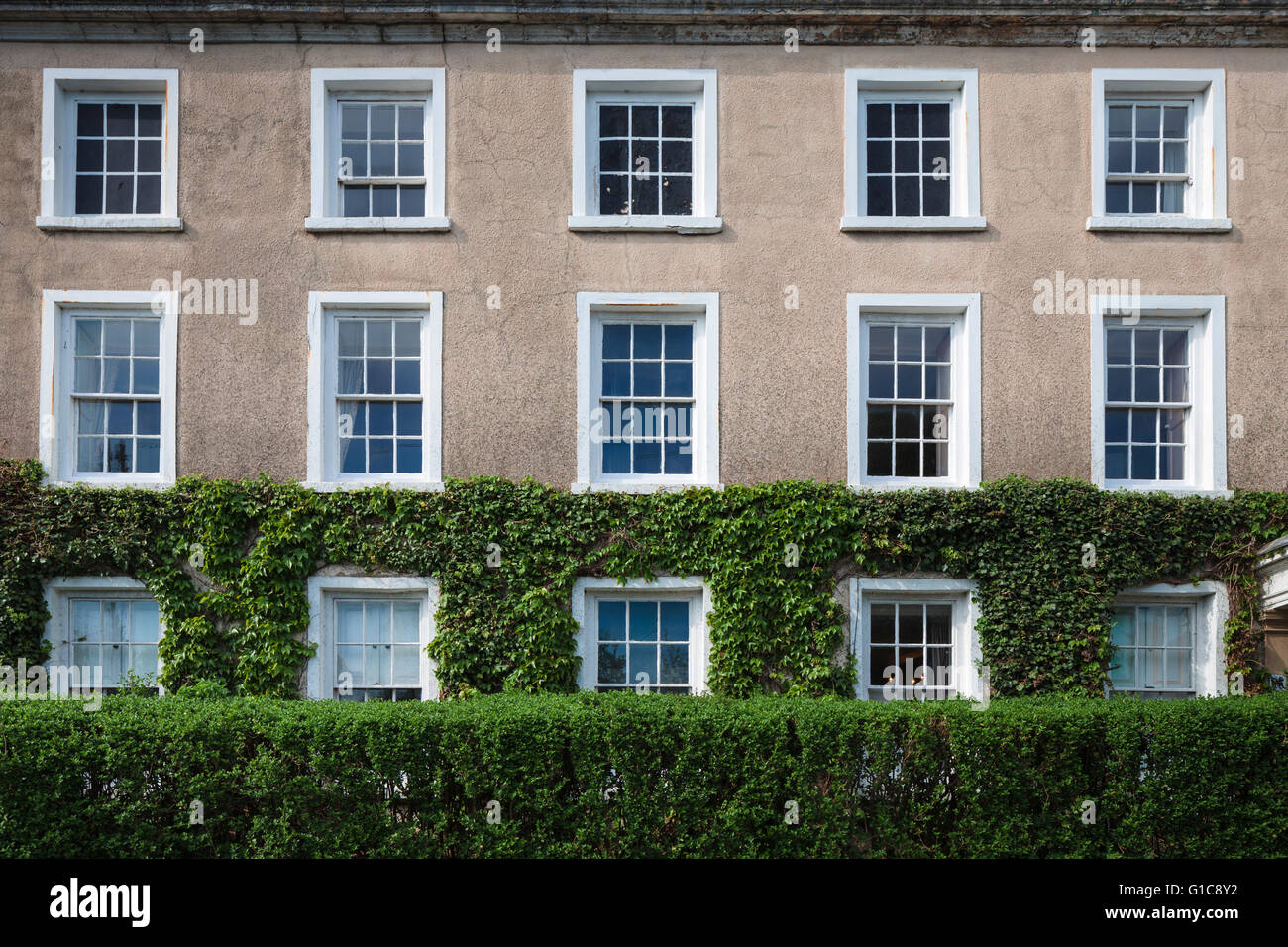 Plain but attractively proportioned Georgian mansion, The Parade, Chipping Sodbury, near Bristol, with sash windows and ivy. Stock Photo