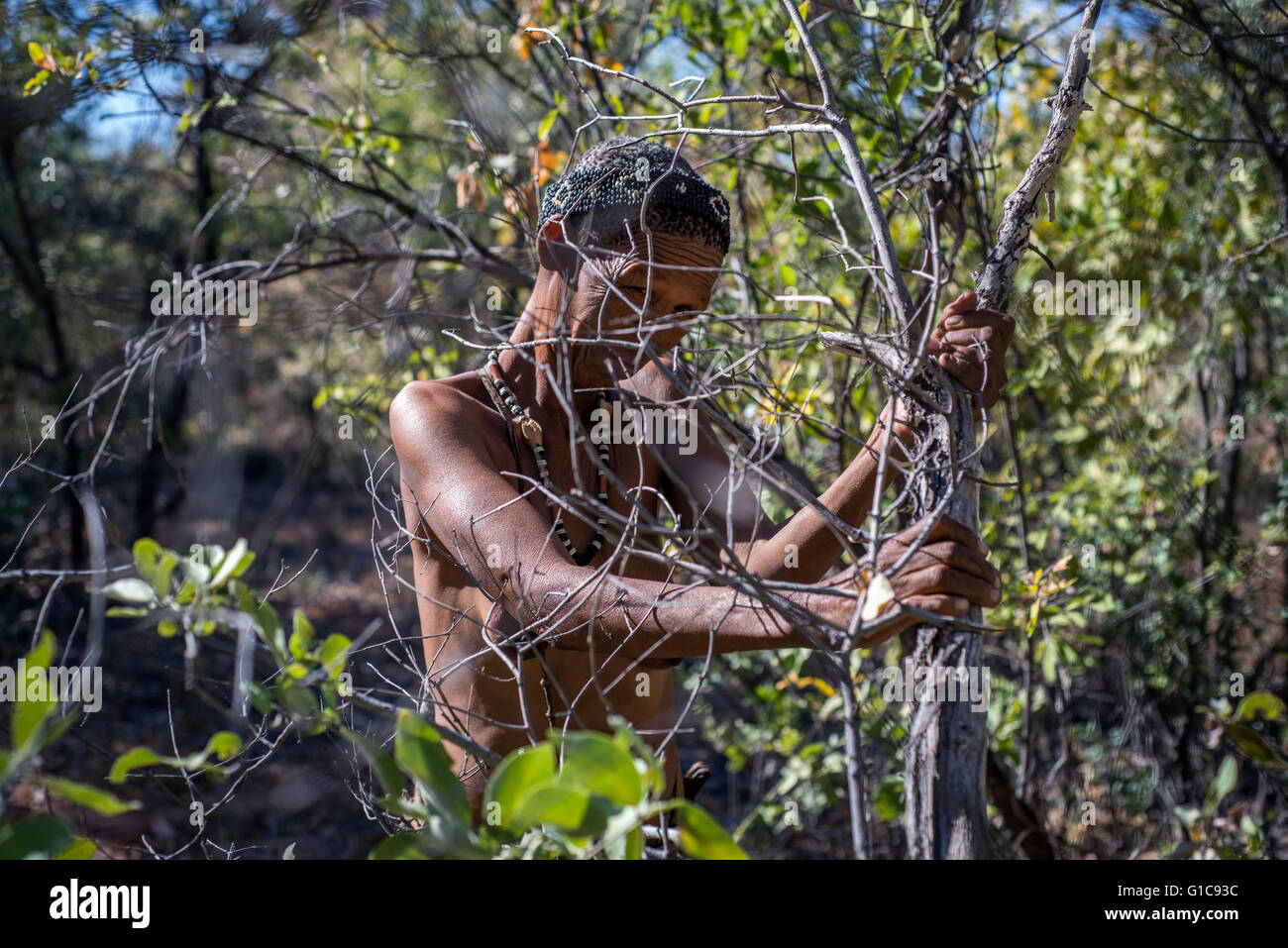 BUSH DE BRUNT WOODMANFIZ 木人拳 木人拳セット - BRUNT｜BUSH DE CAMPERS