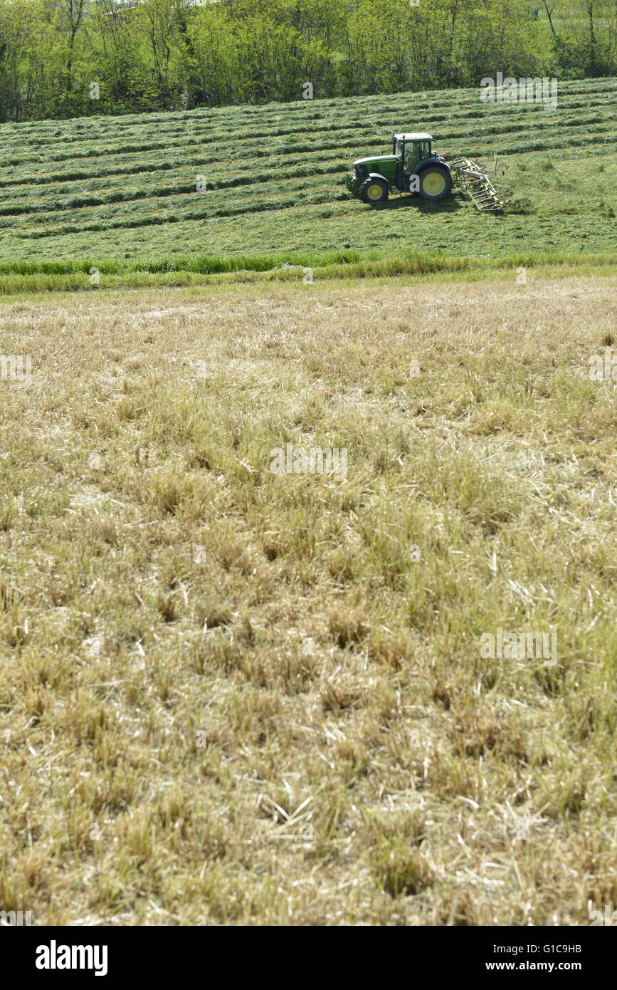 Green Tractor turning grass in Emilia Romagna, Italy Stock Photo Alamy