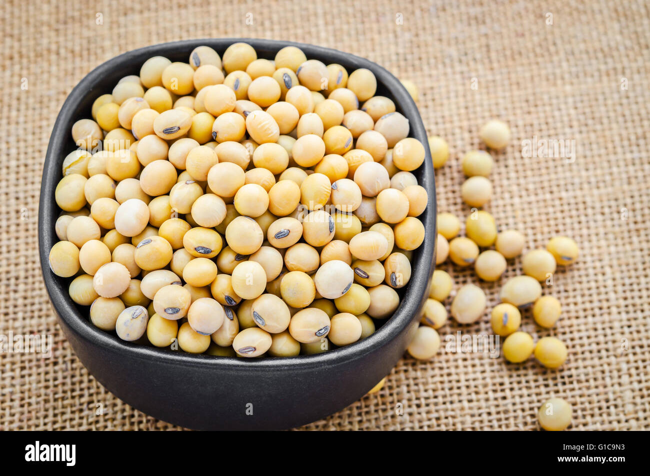Gold soybean in black cup on sack background. Stock Photo