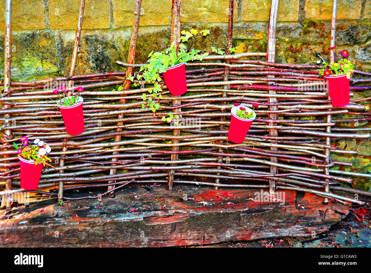 North Shields 5 red pots with flowers and willow fence Stock Photo