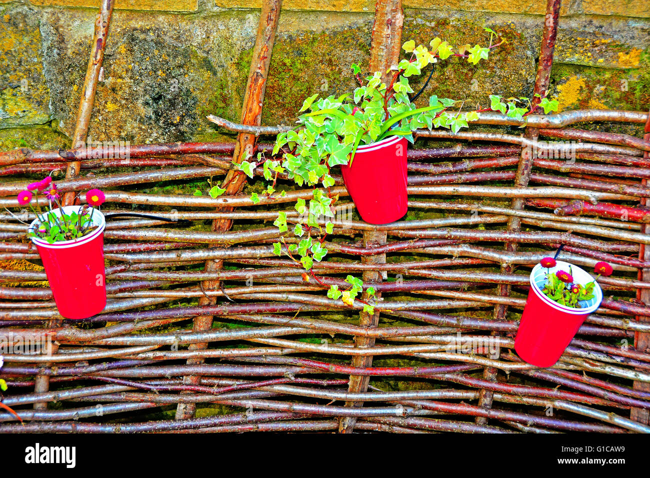 North Shields 3 red pots with flowers and willow fence Stock Photo