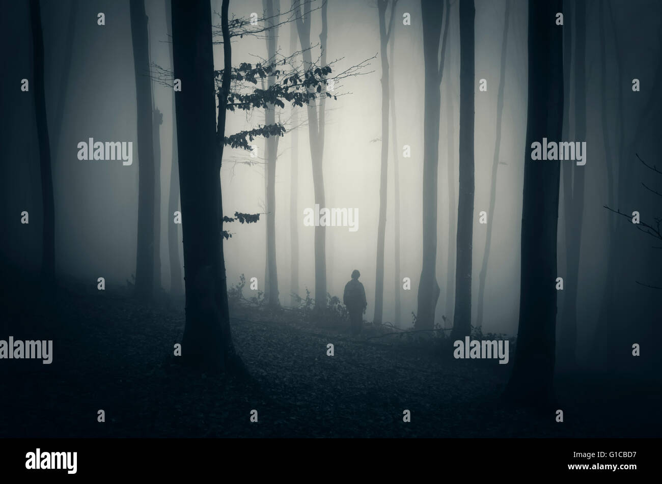 man in forest dark landscape Stock Photo