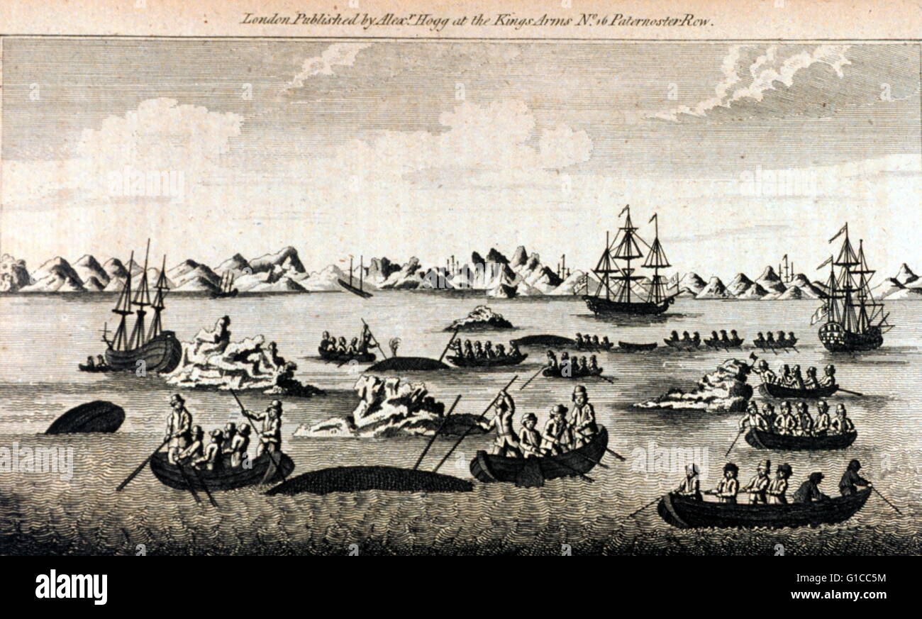 A view of the Whale Fishery. In: 'A Collection of Voyages round the World ... Captain Cook's First, Second, Third and Last Voyages ....' Volume V, London, 1790. Stock Photo