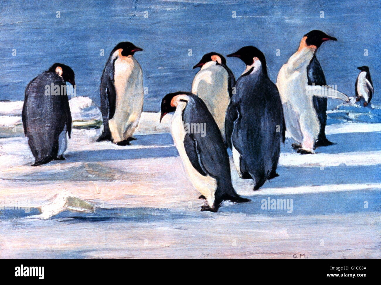 The Emperors' Conclave. In: 'The Heart of the Antarctic', Volume II, by E. H. Shackleton, 1909 Stock Photo