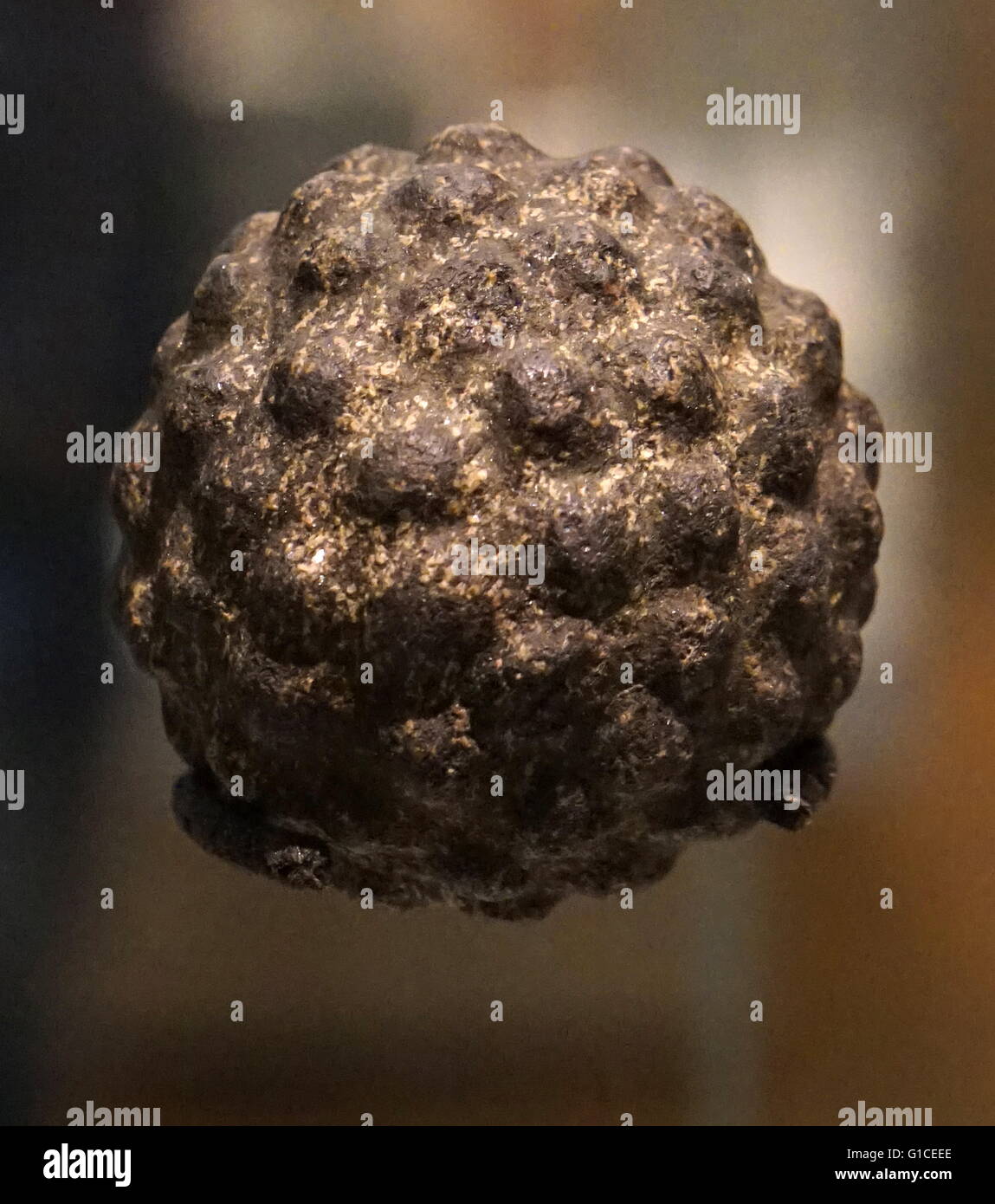 Carved stone ball from the Later Neolithic period. Scotland. Dated 3000 BC Stock Photo