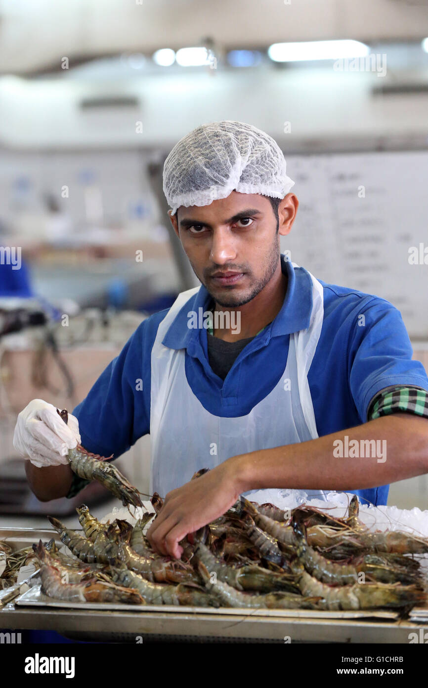 Mina fish market abu dhabi hires stock photography and images Alamy