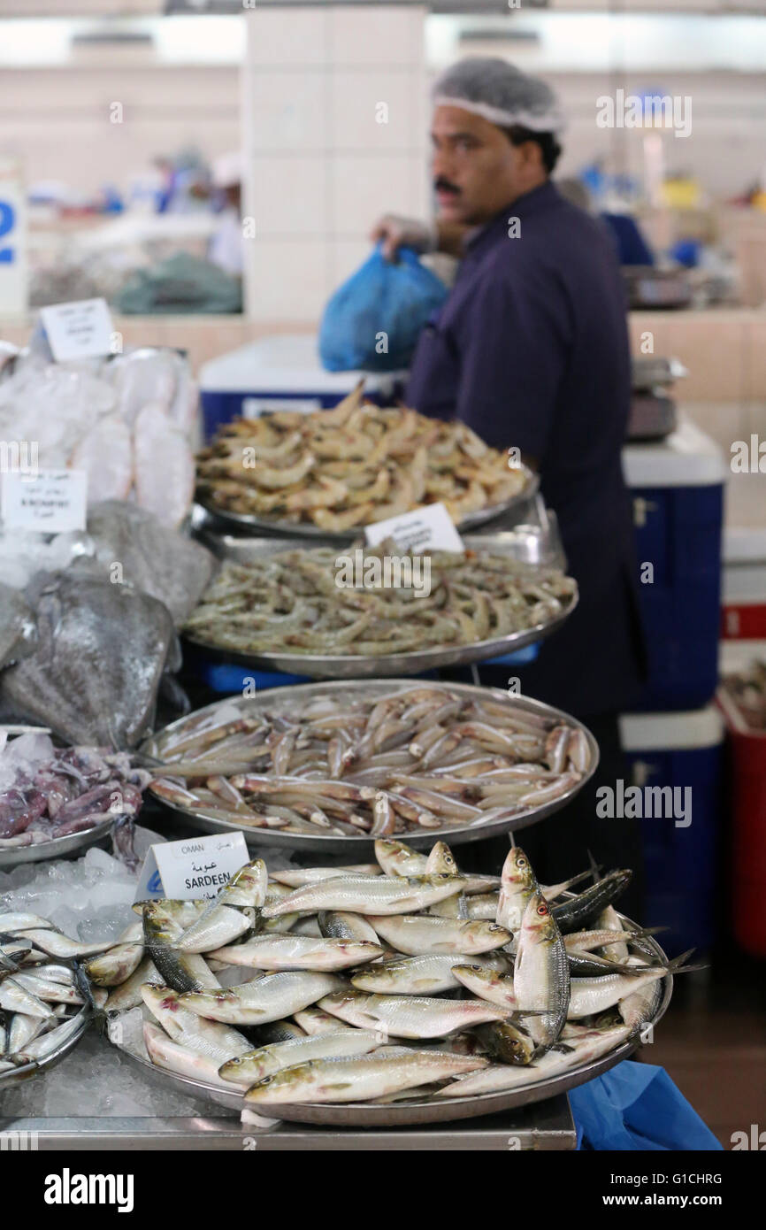 Mina port fish market, Abu Dhabi. Sardeens. United Arab Emirates Stock