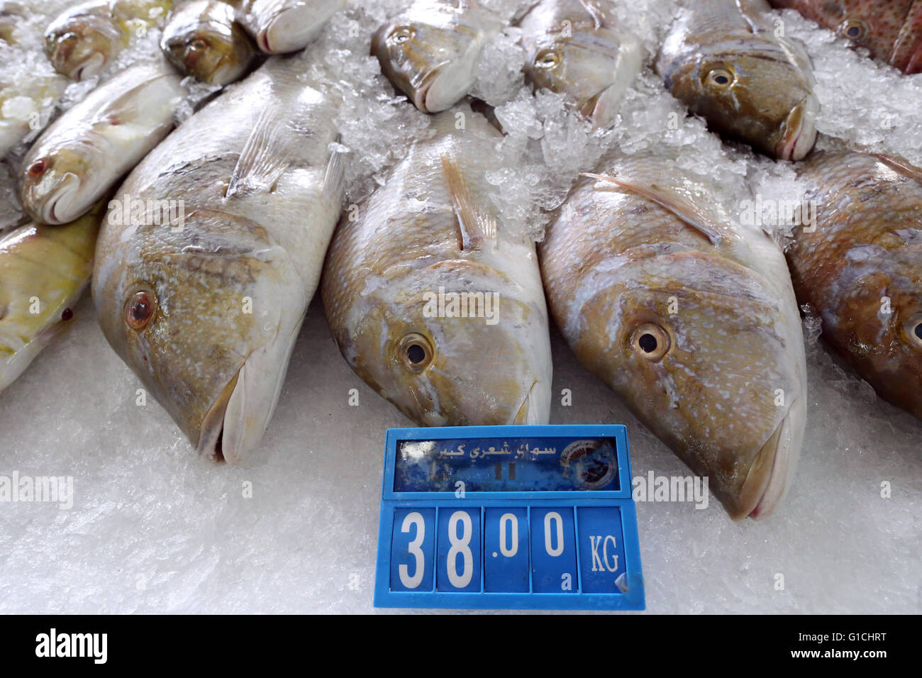 Mina port fish market, Abu Dhabi. United Arab Emirates Stock Photo Alamy