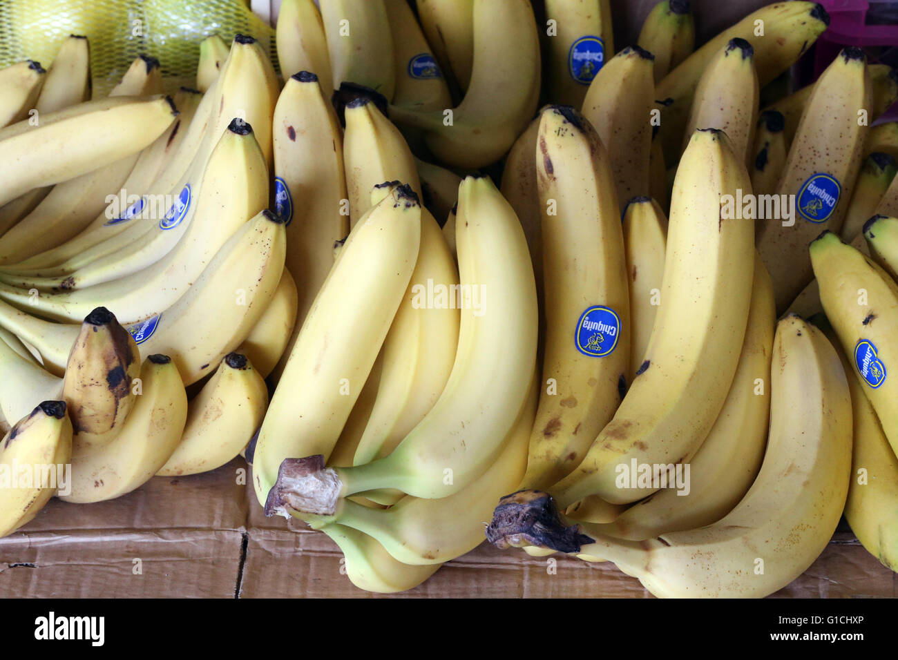 Mina Fruit and Vegetable Market[, Abu Dhabi. Banana. United Arab