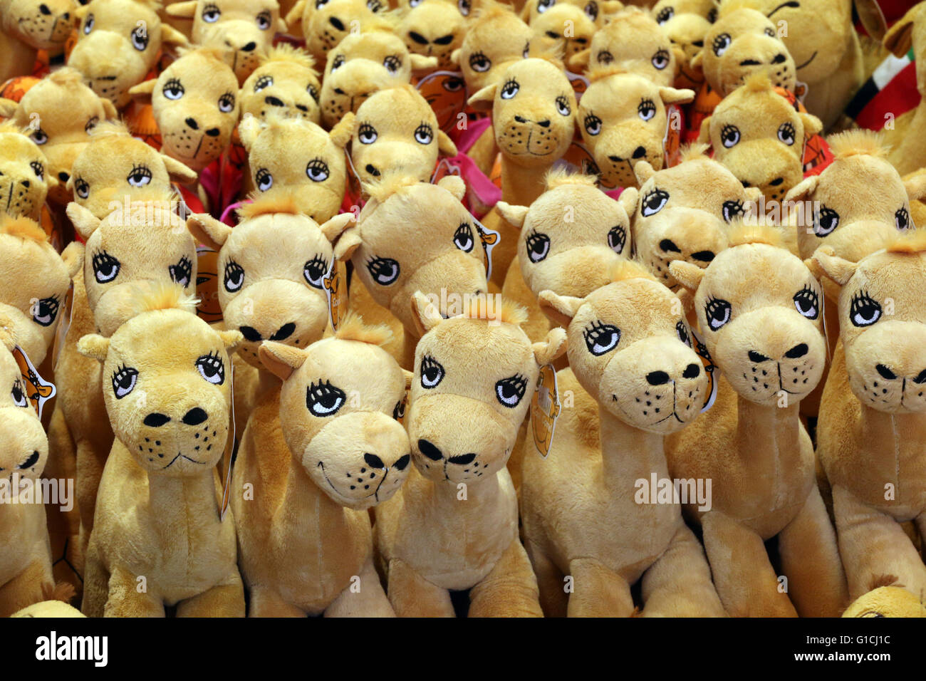 Tourist souvenirs. Stuffed Camel toys.  United Arab Emirates. Stock Photo