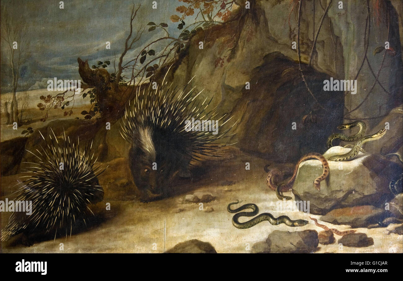 Snyders, Frans - Porcupines and vipers -  Museo Cerralbo Stock Photo