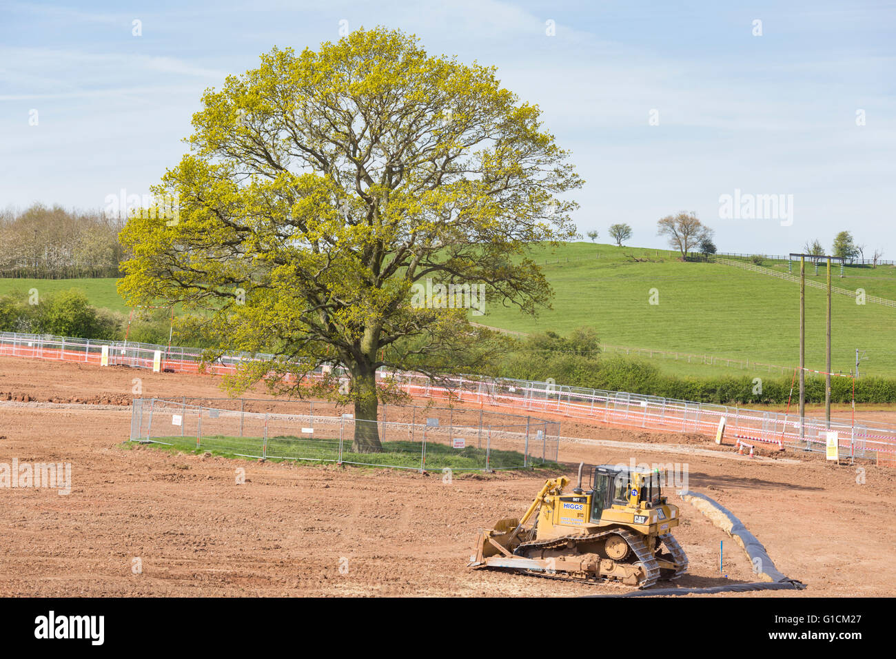 New development on former green belt land with a protective fence round an Oak tree, England, UK Stock Photo