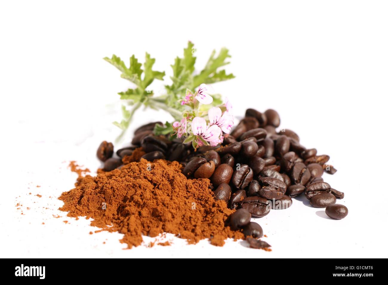 Coffee beans , coffee powder , cup of coffee , brazilia coffee , coffee and flower ,cacao , coffee drinks , ginger flower Stock Photo