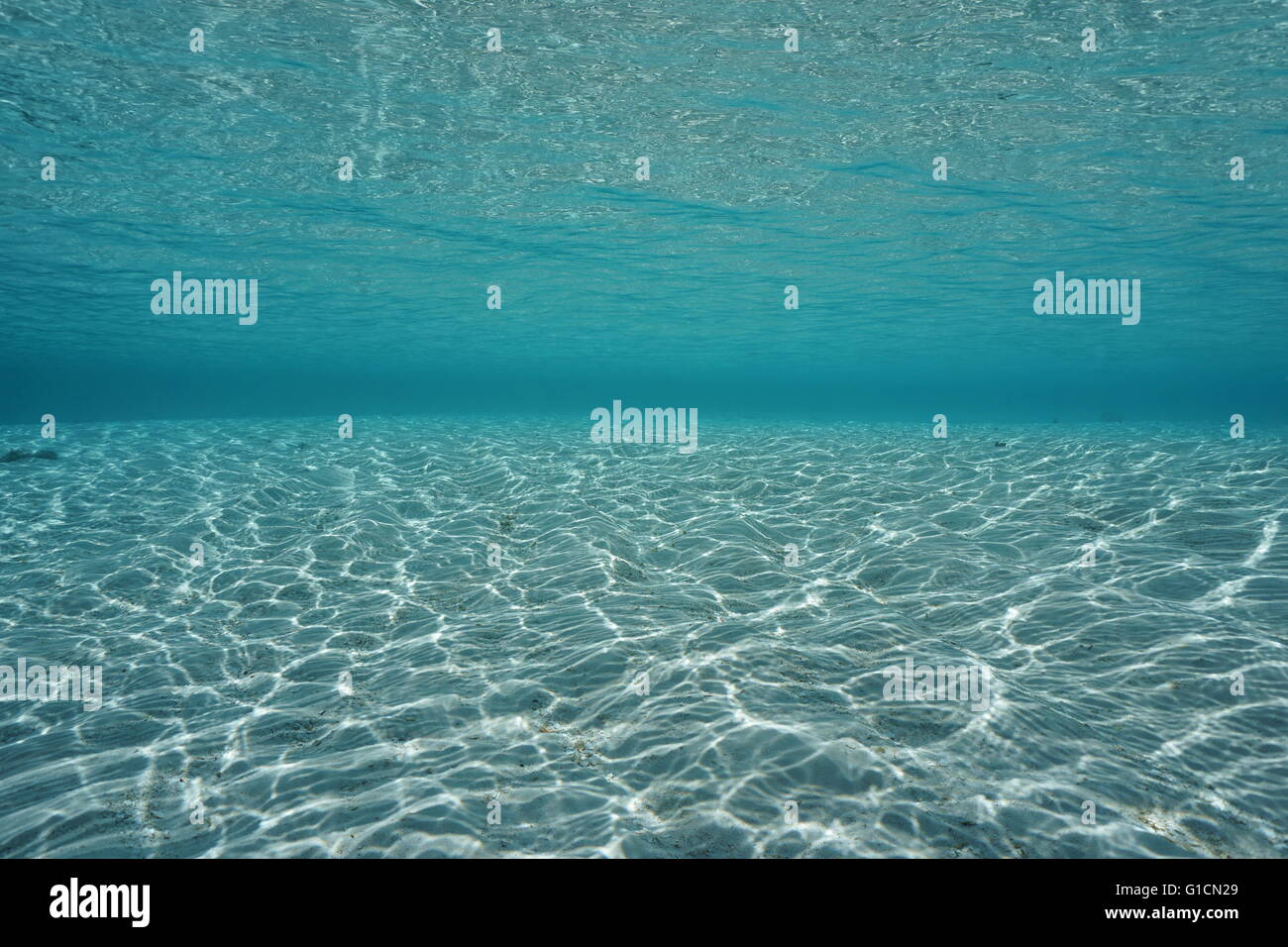Underwater shallow sandy ocean floor with water surface, natural scene