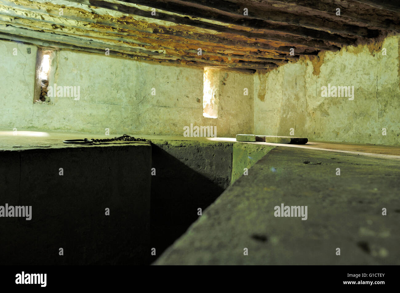 Slave cell hires stock photography and images Alamy