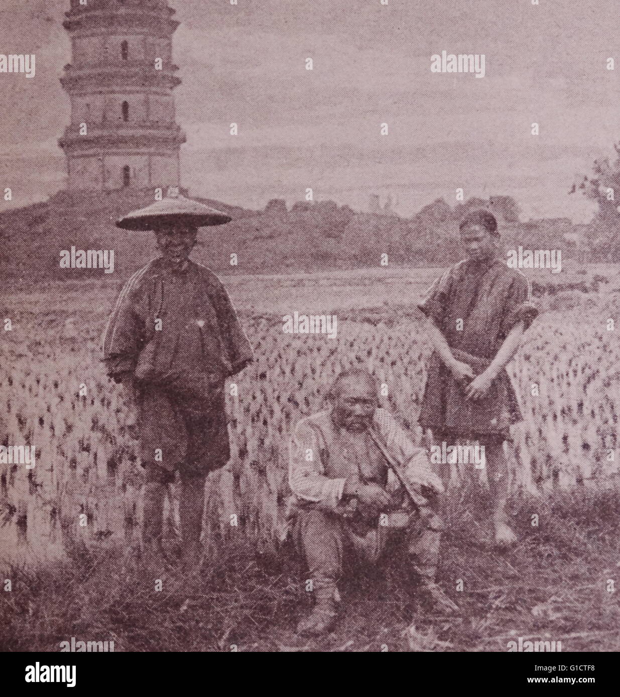 China peasants hires stock photography and images Alamy