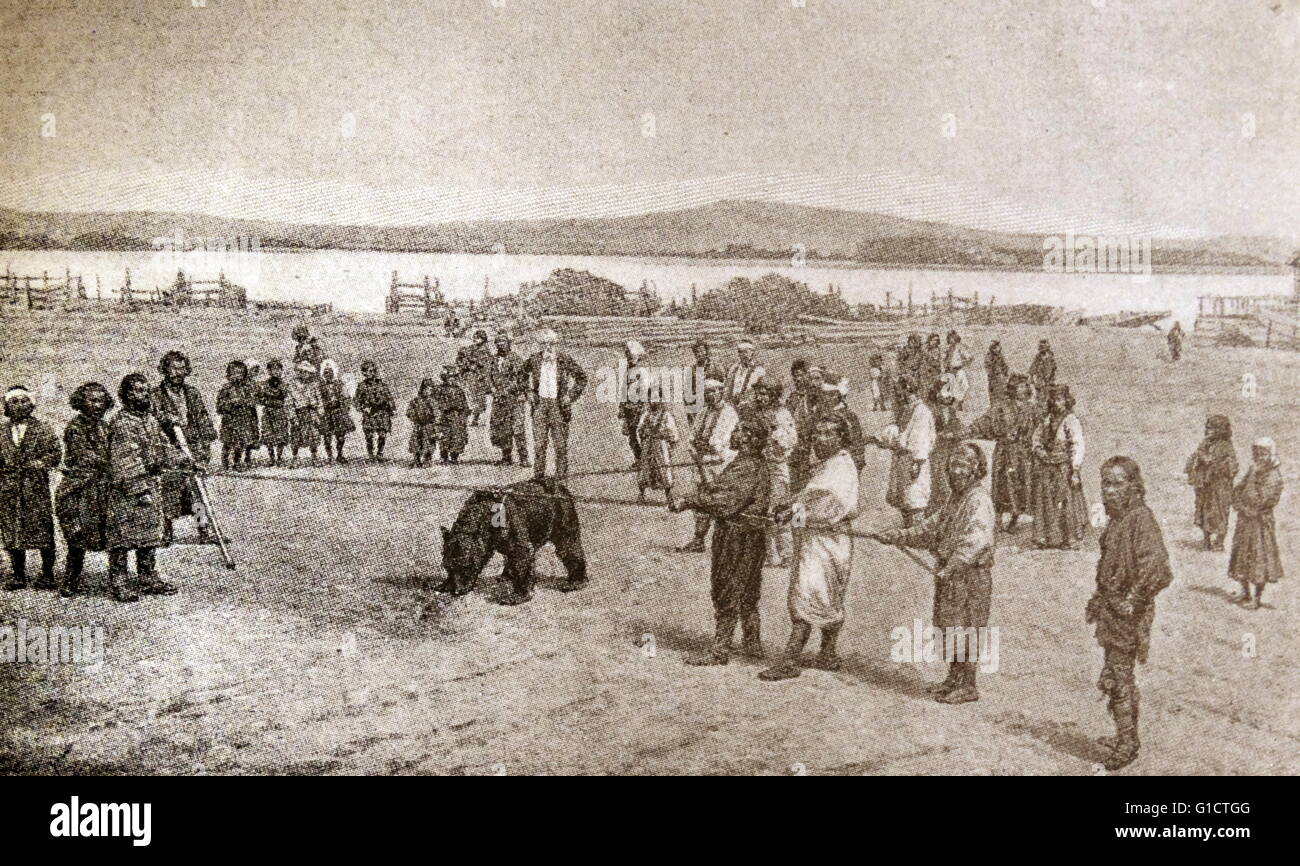 Bear baiting in Siberia; Russia 1860 Stock Photo