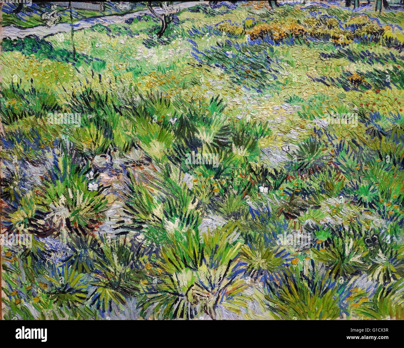 Painting titled 'Long Grass with Butterflies' by Vincent Willem van