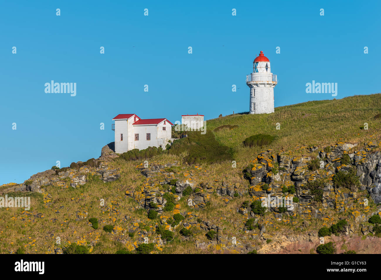 Lighthouse at Taiaroa Head, Otago Peninsula, Dunedin, New Zealand. Stock Photo