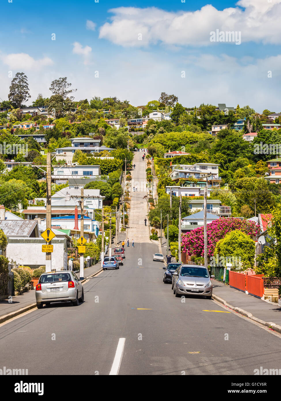 Baldwin Street, world's steepest, in Dunedin, Otago, New Zealand. Stock Photo