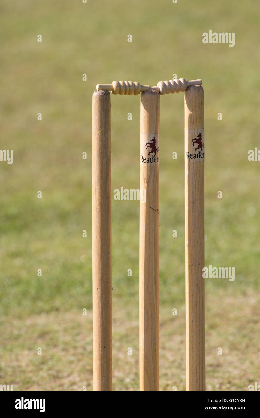 Cricket stumps Stock Photo
