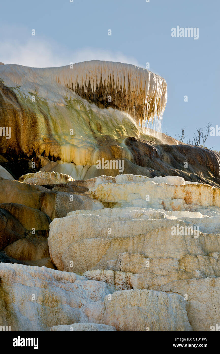 WY01687-00...WYOMING - The Lower Terrace at Mammoth Hot Springs in Yellowstone National Park. Stock Photo