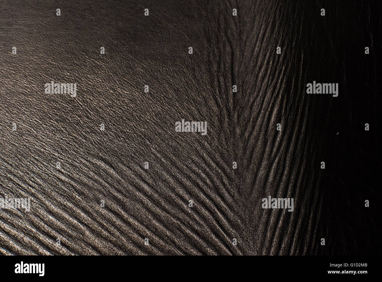 Black leather texture closeup Stock Photo