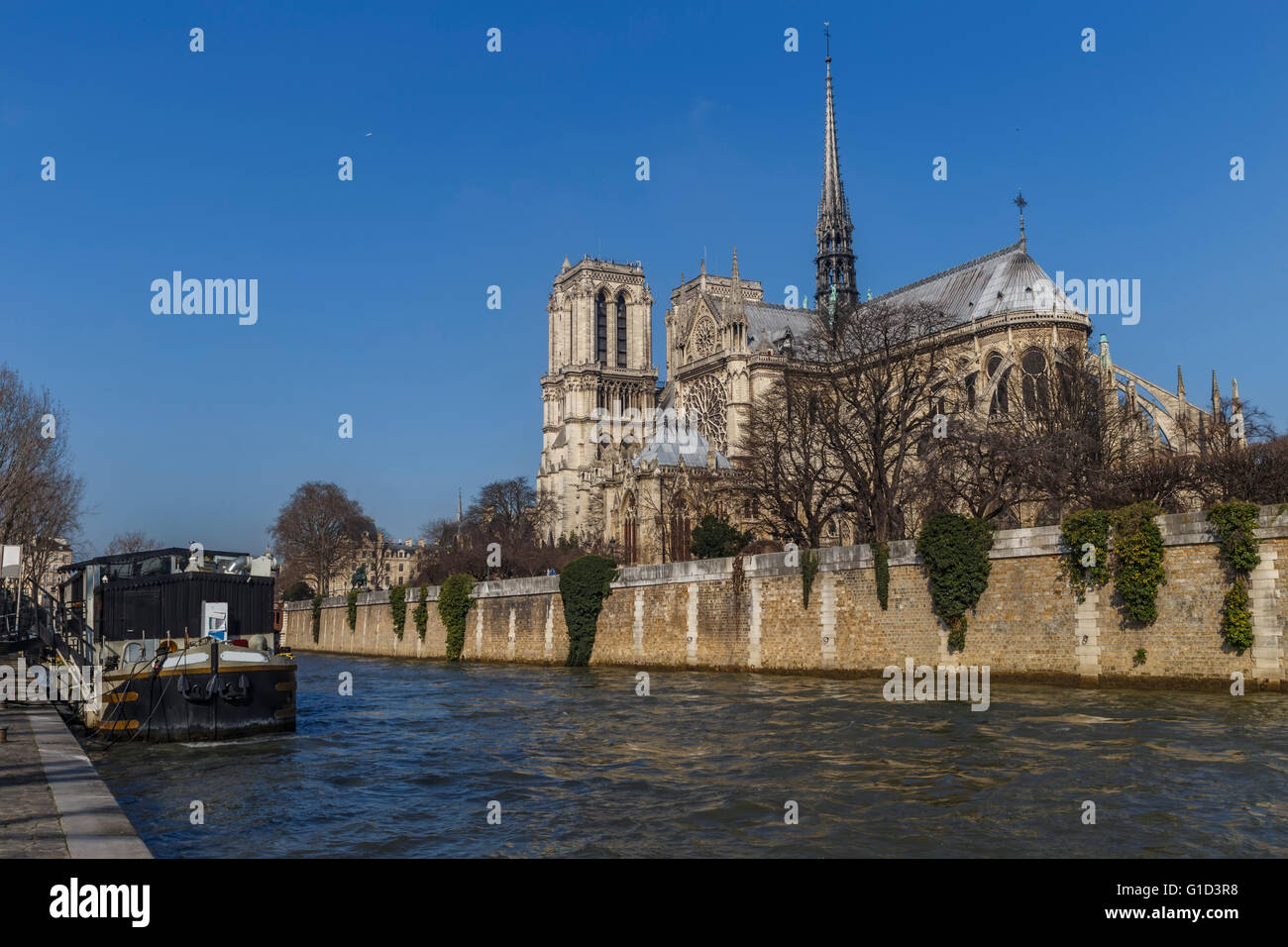 View of Notre Dame de Paris from the Seine river side Stock Photo - Alamy