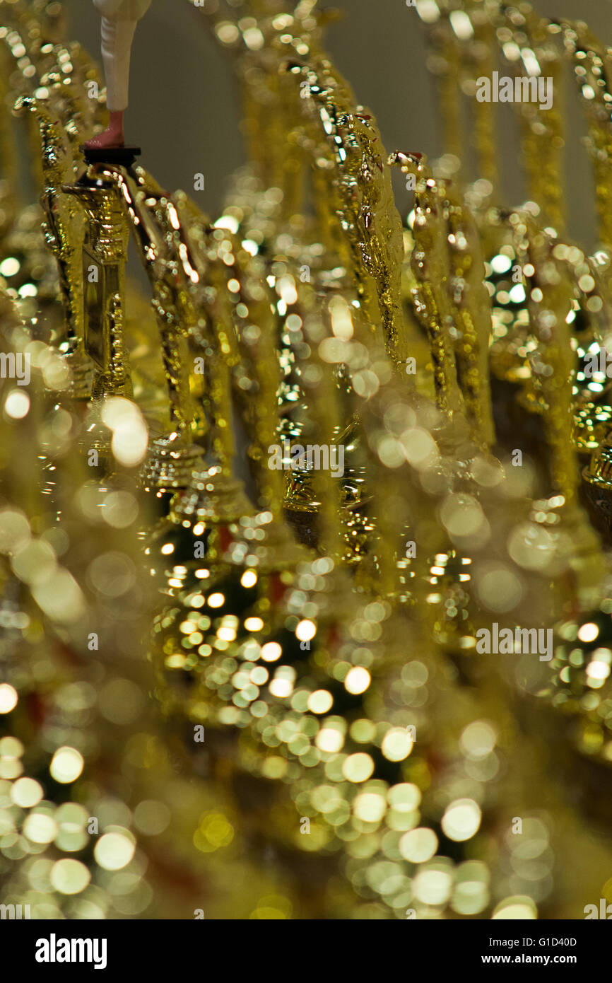 Martial arts trophies Stock Photo - Alamy