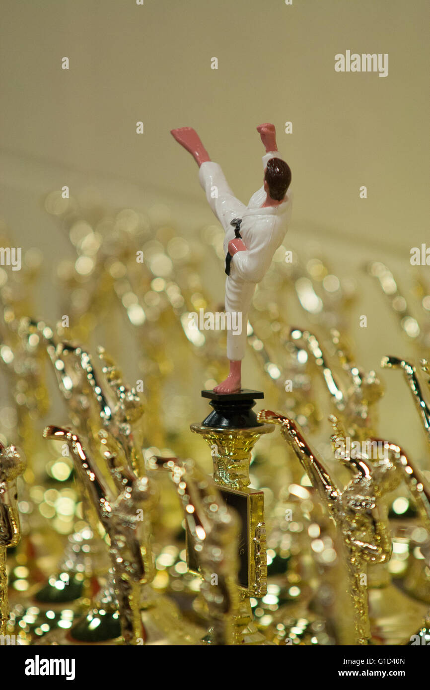Martial arts trophies Stock Photo - Alamy