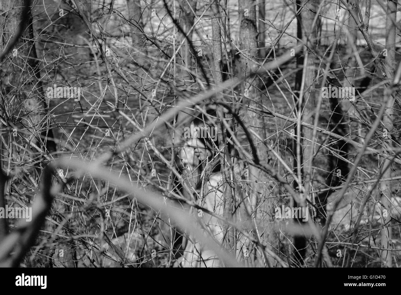 Wilson Chutes, StJerome, Quebec Stock Photo Alamy