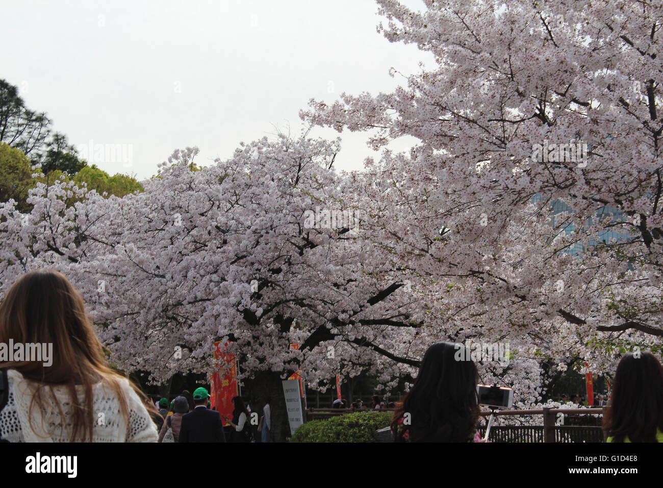 Trip to Japan 2016 Stock Photo - Alamy