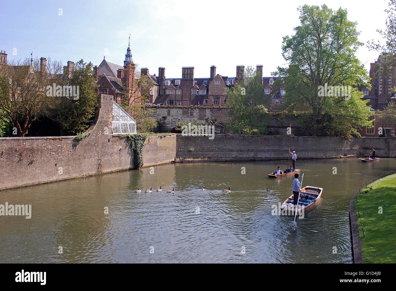 Punts on the river Cambs, outside St John's College, Cambridge University Stock Photo