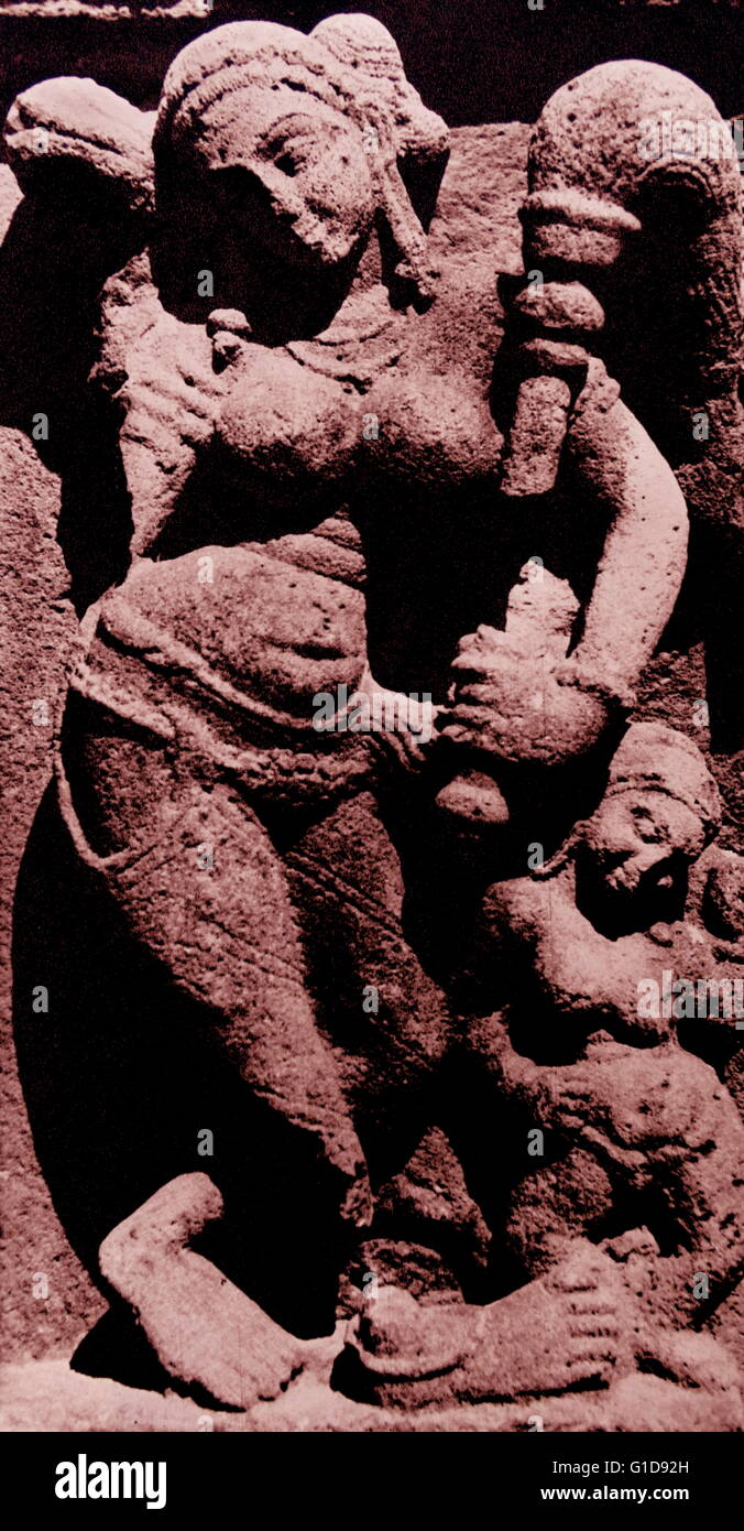 Fly Whisk High Resolution Stock Photography and Images Alamy