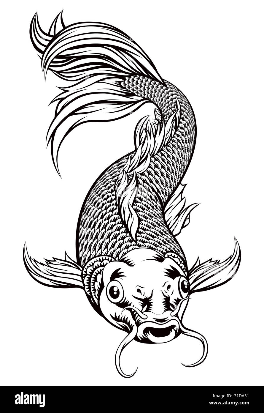 An original illustration of a koi carp fish in a vintage woodcut style Stock Photo