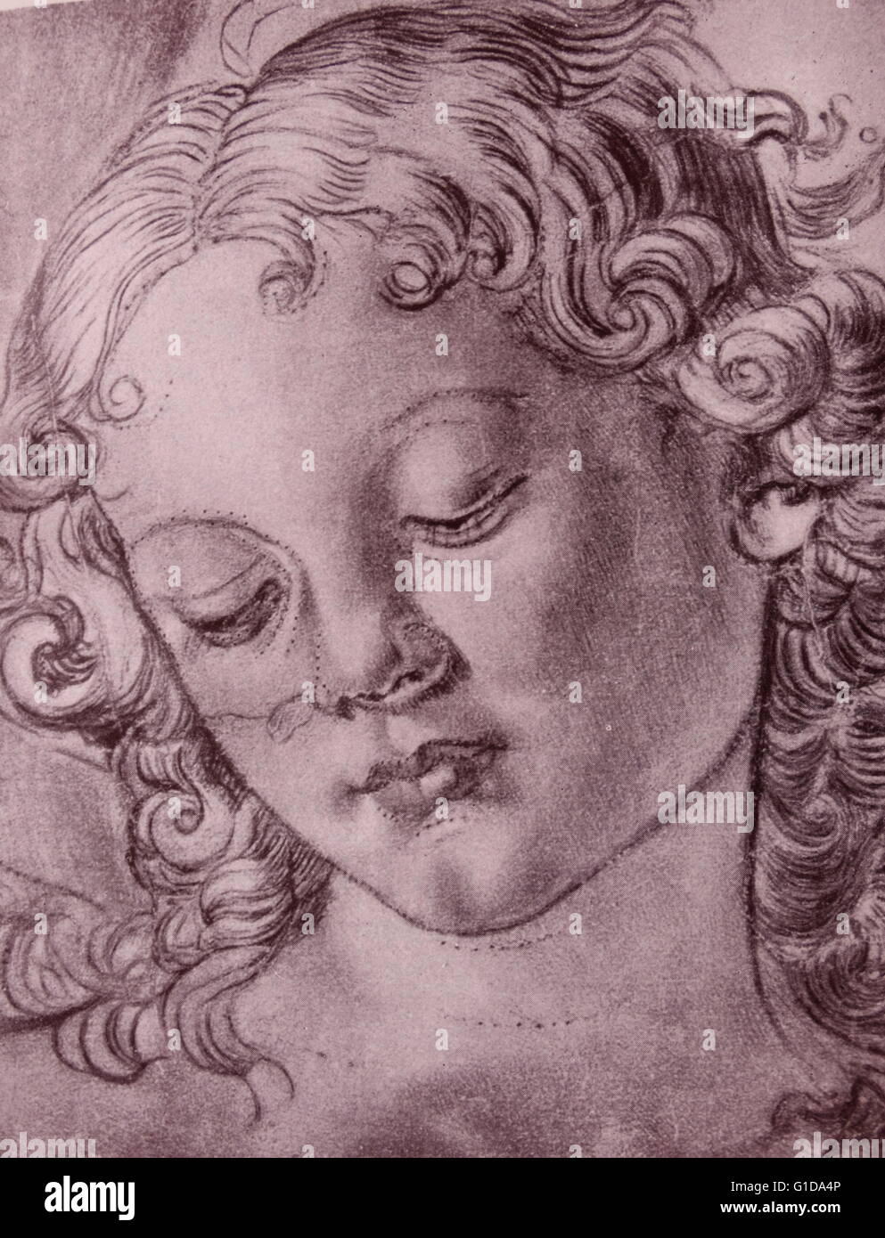 The head of an angel, by Andrea del Verrocchio; 15th century Stock Photo