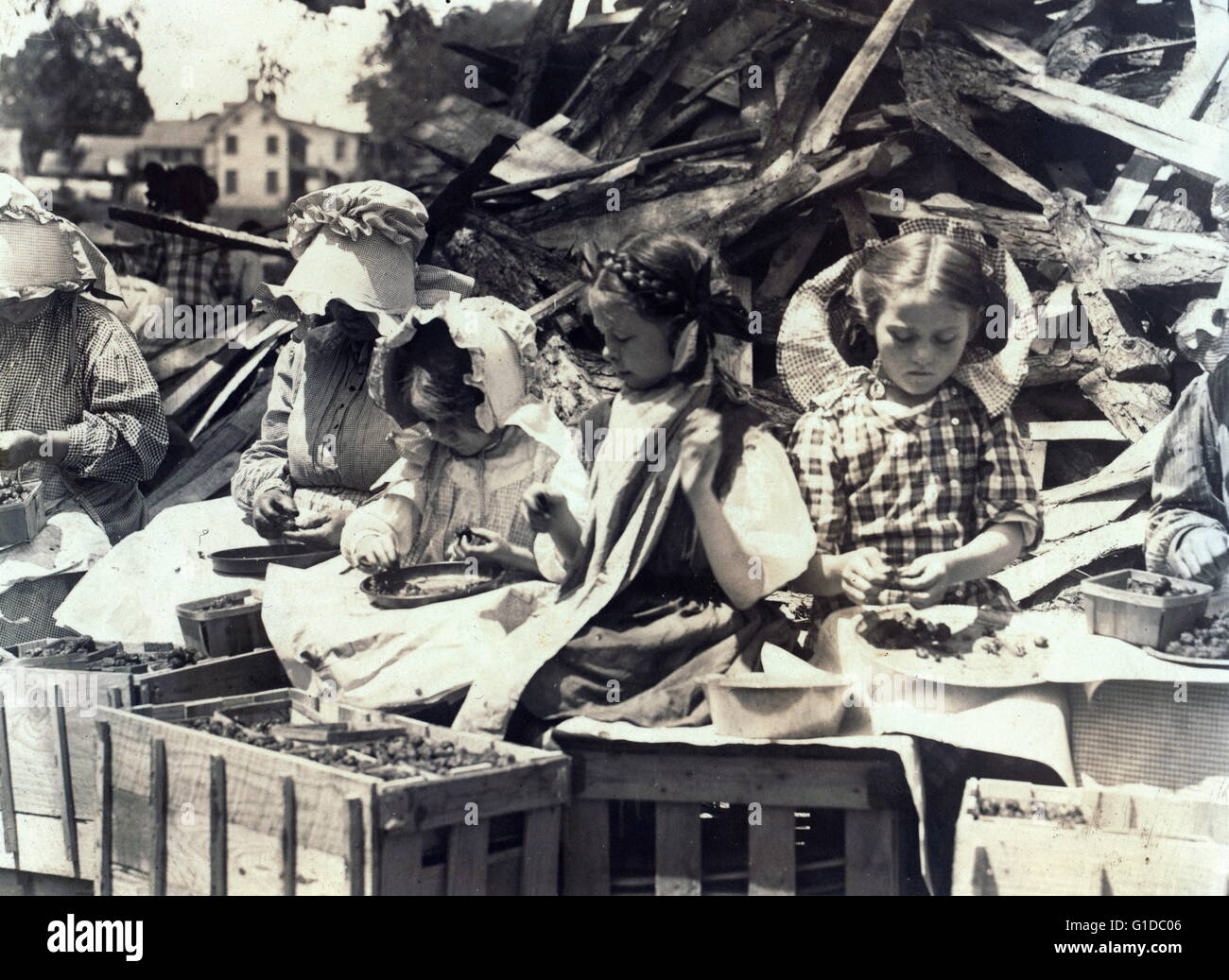 Child labour in the USA 1910. 'hulling' strawberries at Johnson's Hulling Station, Seaford, Delaware. Photograph by Lewis Hine 1874-1940 Stock Photo
