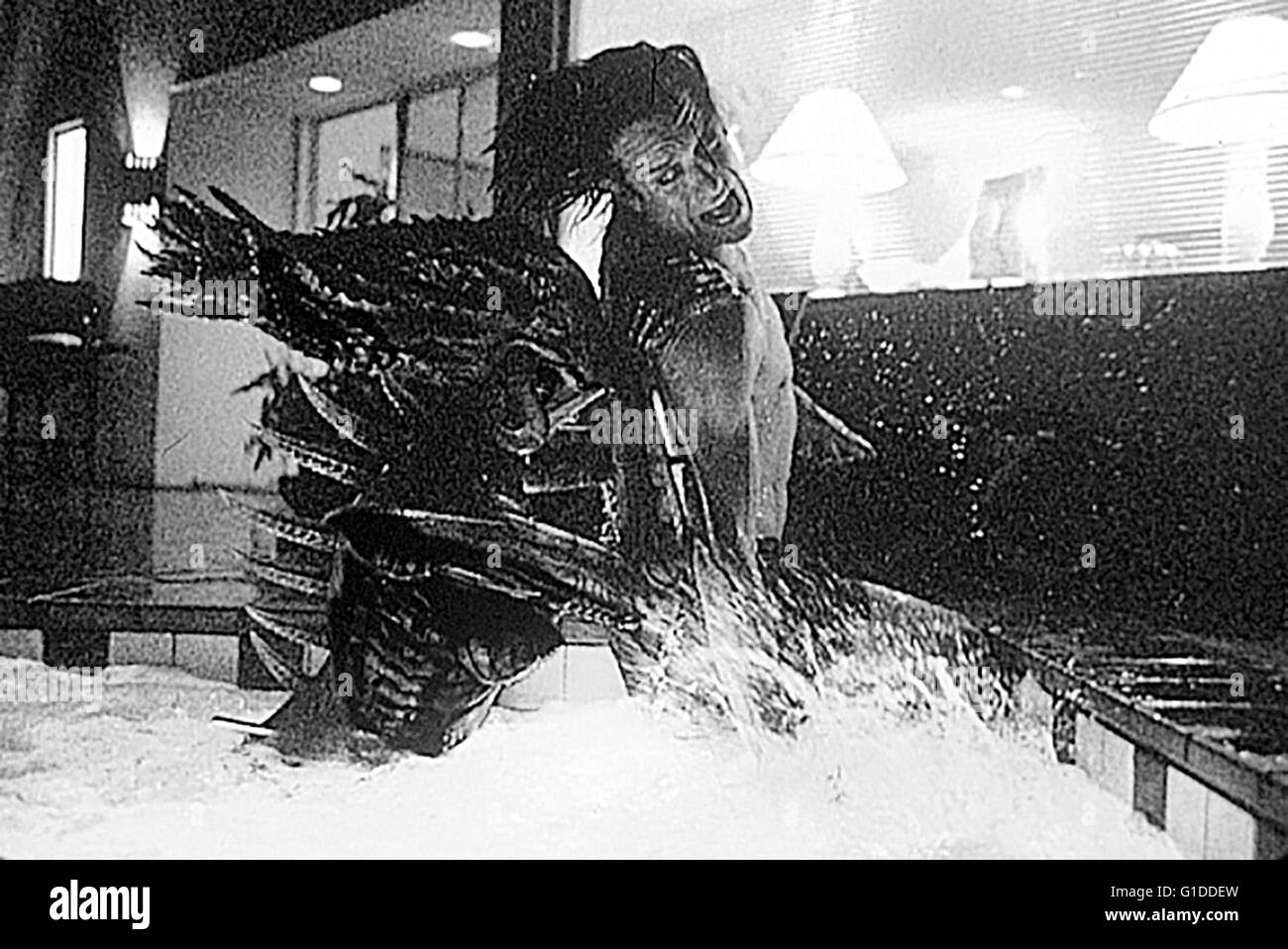 Species / Whip Hubley Stock Photo Alamy